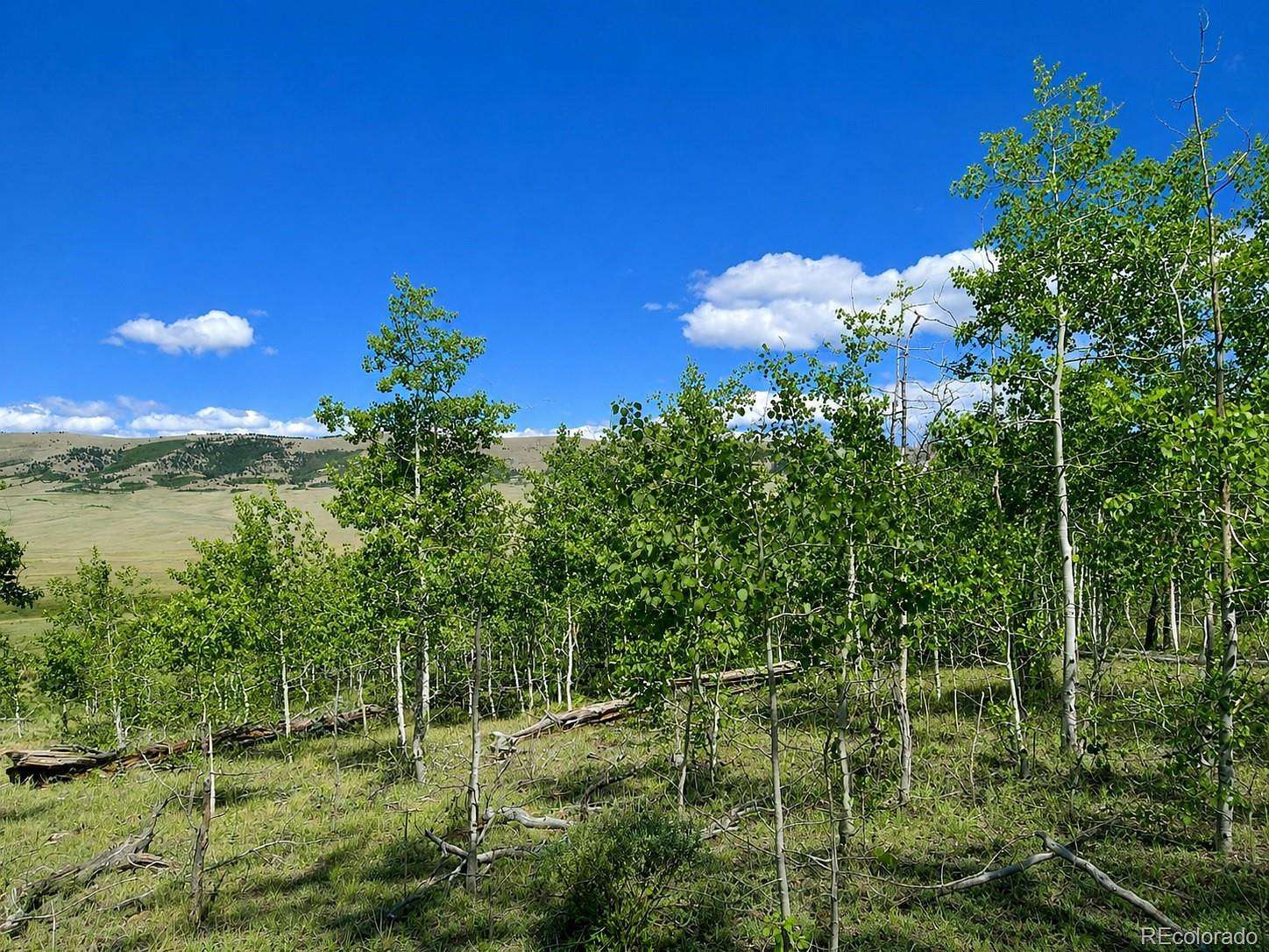 2 Acres of Residential Land for Sale in Fairplay, Colorado