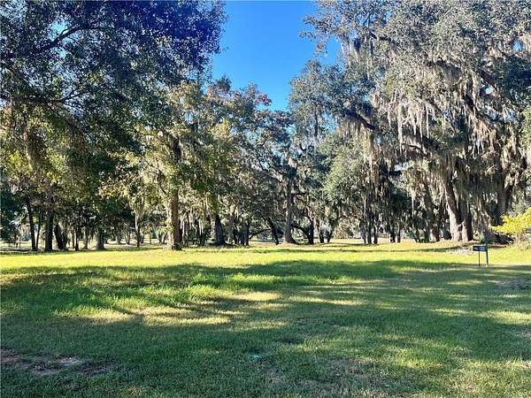 1.12 Acres of Residential Land for Sale in Townsend, Georgia