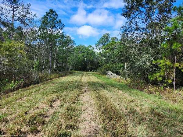 1 Acre of Residential Land for Sale in Avon Park, Florida