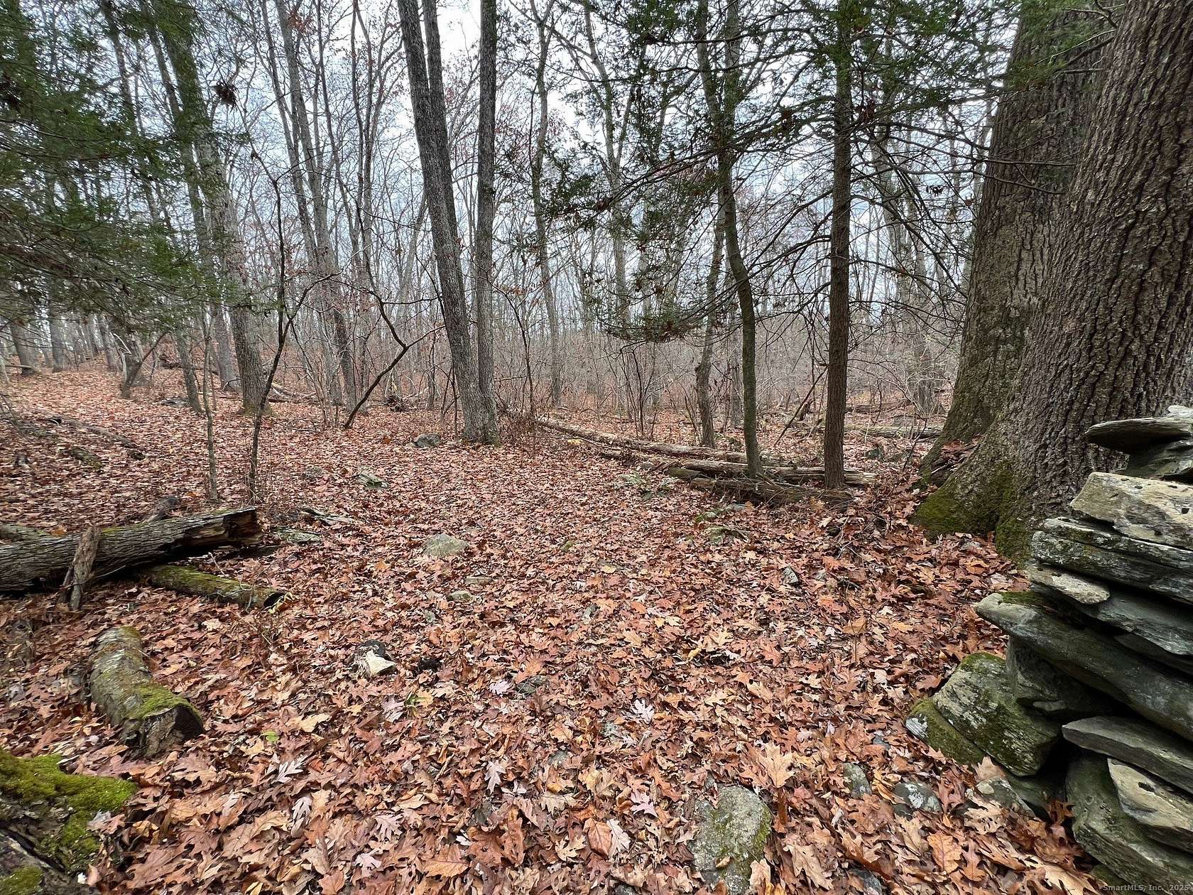 8.6 Acres of Residential Land for Sale in Thompson, Connecticut