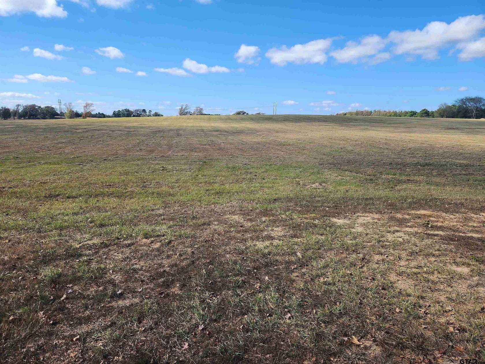 20 Acres of Agricultural Land for Sale in Mount Pleasant, Texas