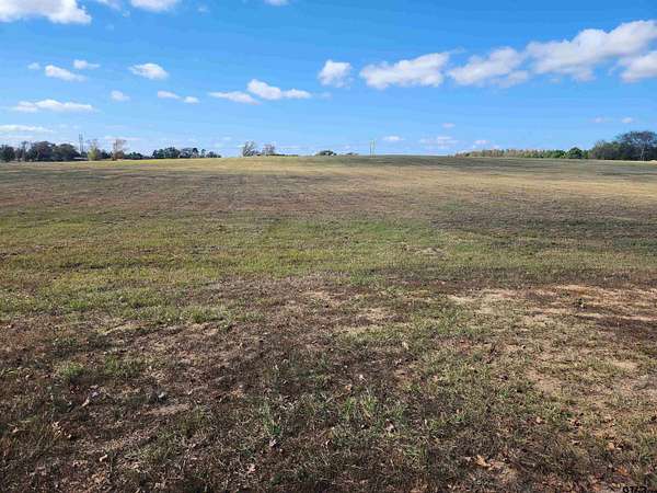 20 Acres of Agricultural Land for Sale in Mount Pleasant, Texas