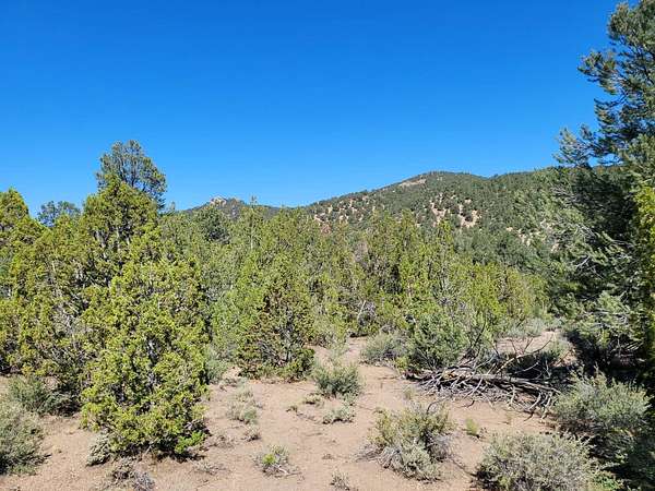 40 Acres of Recreational Land & Farm for Sale in Yerington, Nevada