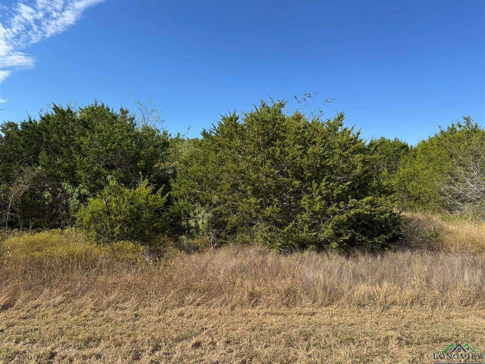 1.34 Acres of Residential Land for Sale in Whitney, Texas