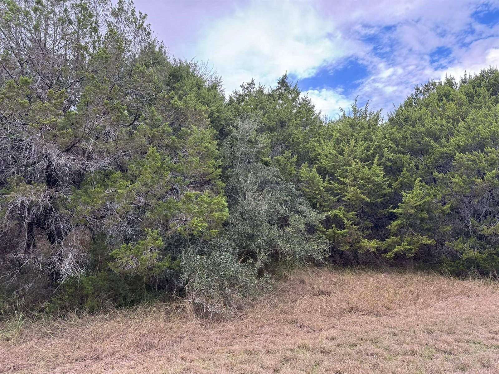 0.18 Acres of Residential Land for Sale in Whitney, Texas