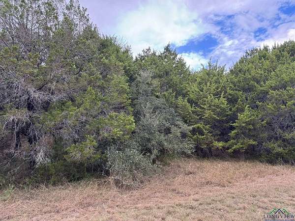 0.18 Acres of Residential Land for Sale in Whitney, Texas
