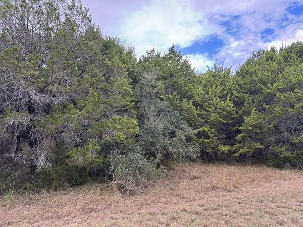 0.18 Acres of Residential Land for Sale in Whitney, Texas