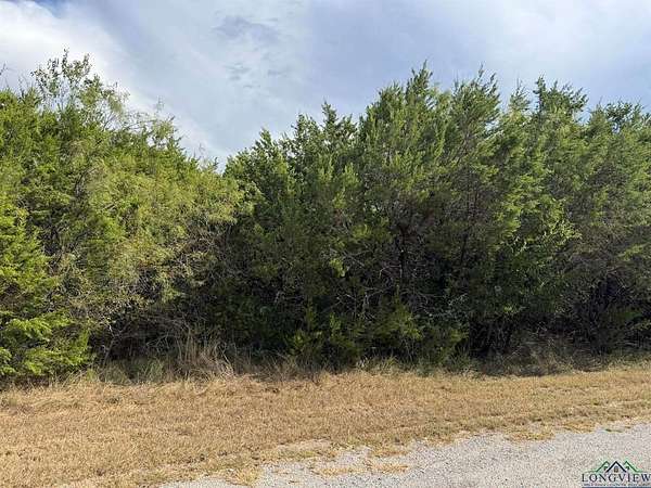 0.39 Acres of Residential Land for Sale in Blum, Texas