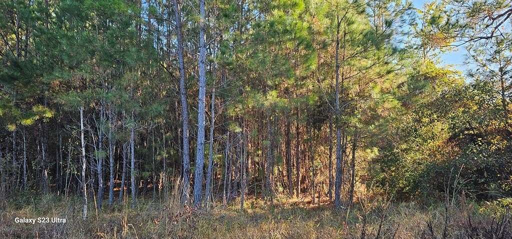 1 Acre of Residential Land for Sale in Lake Park, Georgia