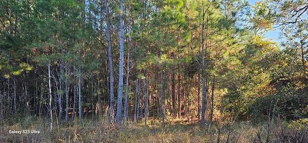 1 Acre of Residential Land for Sale in Lake Park, Georgia