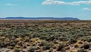 40 Acres of Recreational Land for Sale in Chambers, Arizona