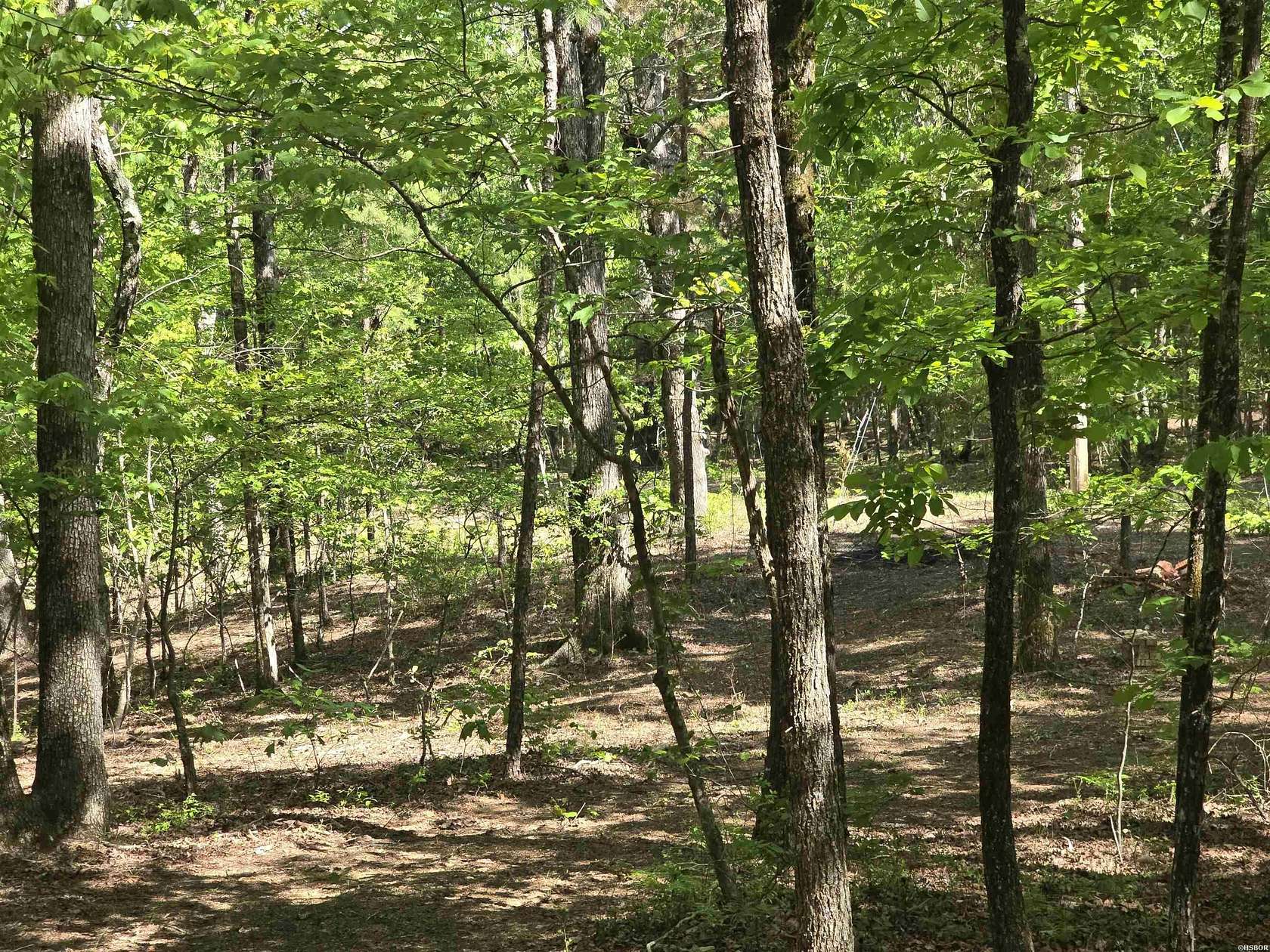 1.62 Acres of Residential Land for Sale in Hot Springs, Arkansas