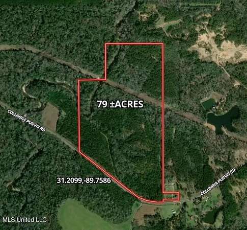 79.2 Acres of Recreational Land for Sale in Columbia, Mississippi