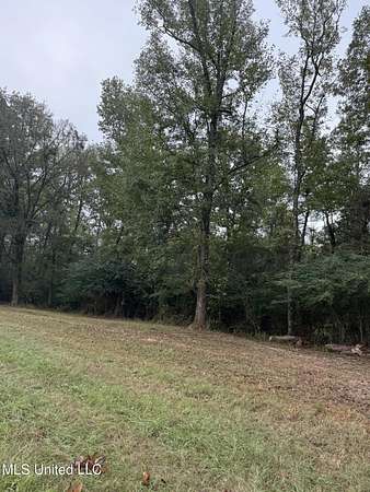 61 Acres of Recreational Land & Farm for Sale in Columbia, Mississippi