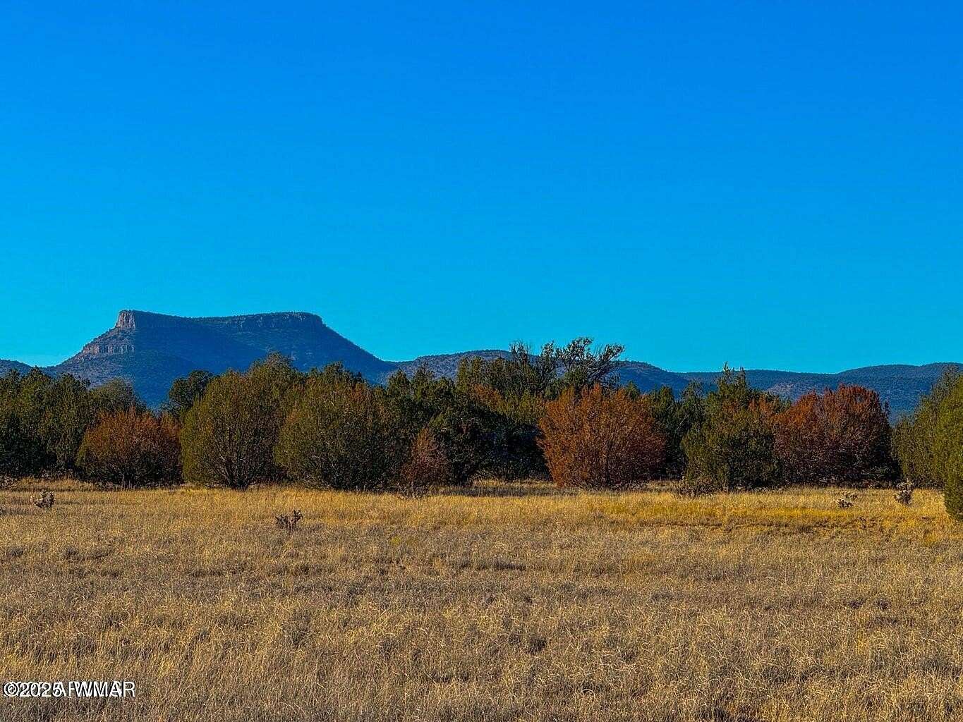37 Acres of Recreational Land for Sale in Seligman, Arizona