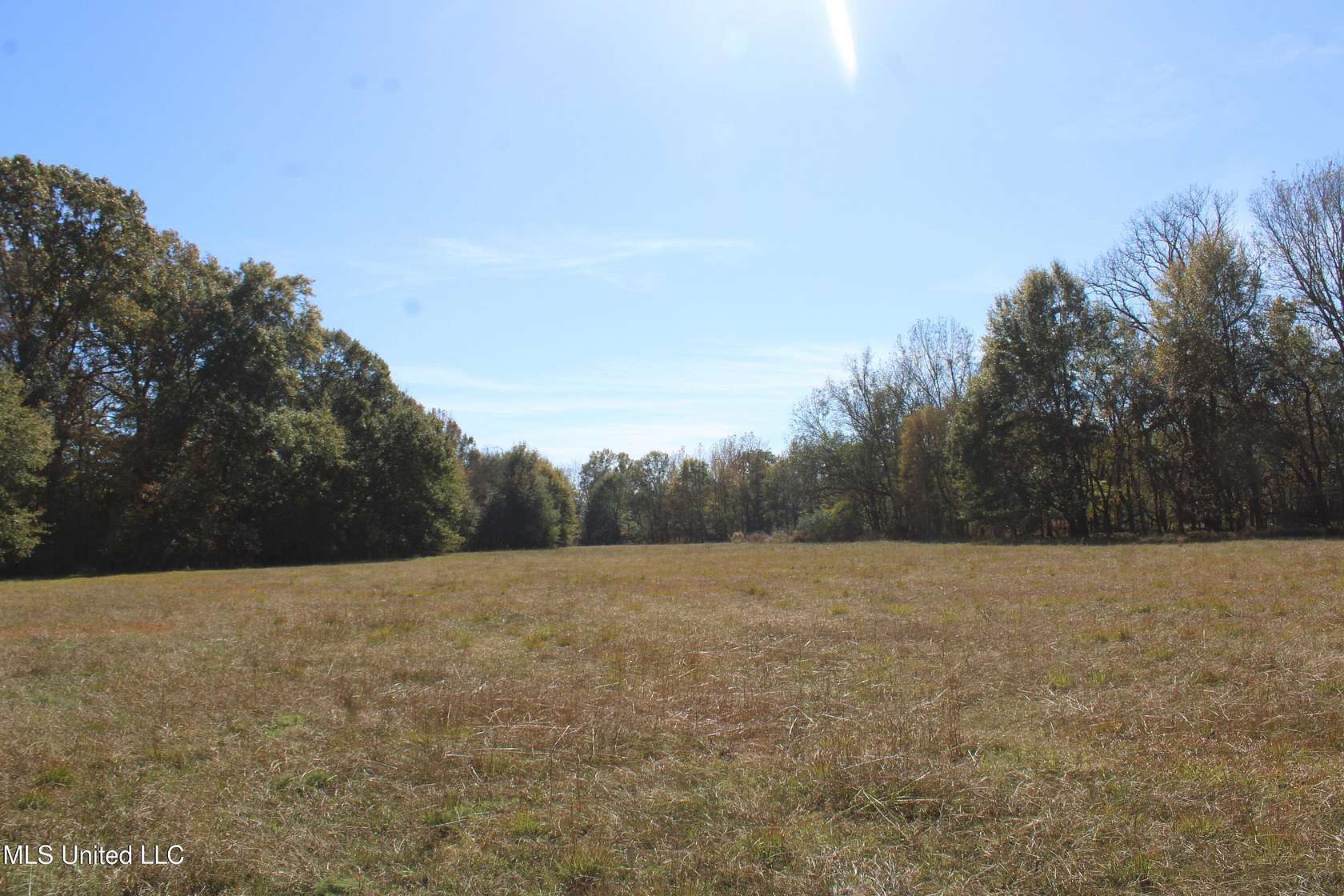 136 Acres of Land for Sale in Olive Branch, Mississippi