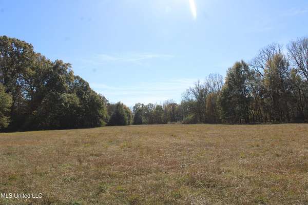 136 Acres of Land for Sale in Olive Branch, Mississippi