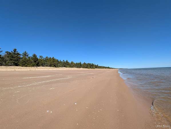 13.3 Acres of Land for Sale in Gulliver, Michigan