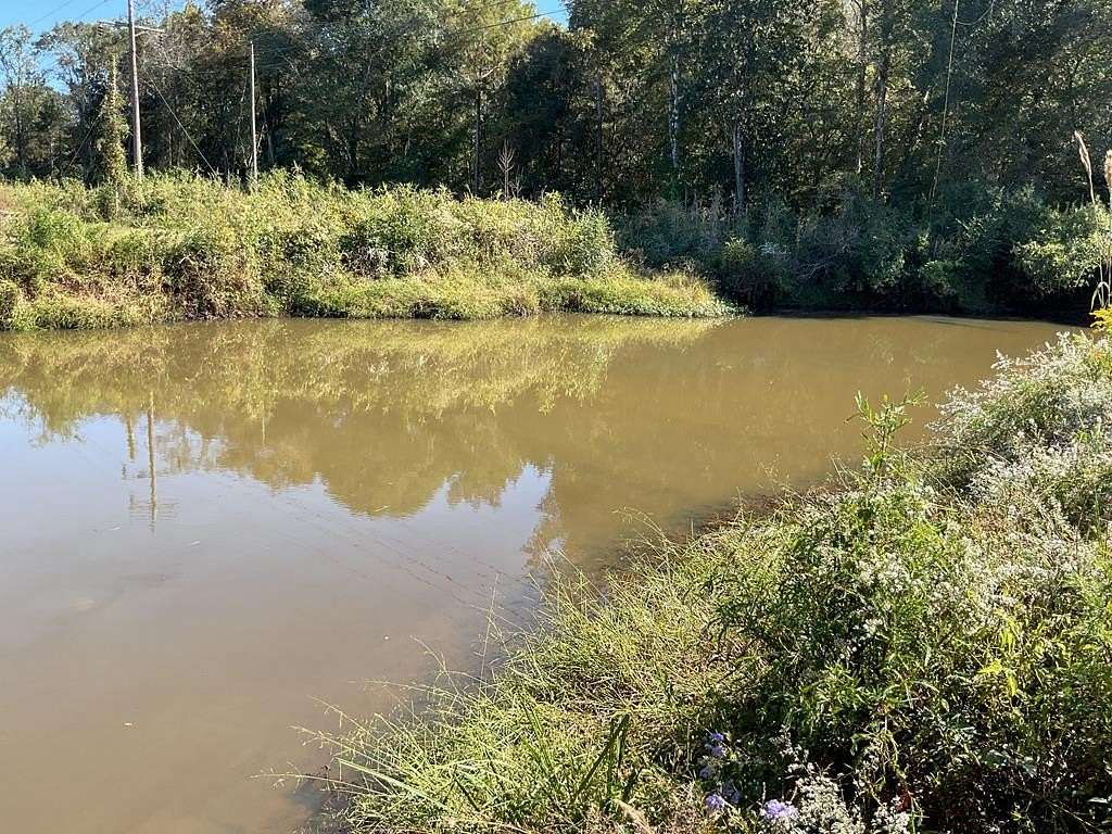 46.7 Acres of Recreational Land for Sale in Brundidge, Alabama