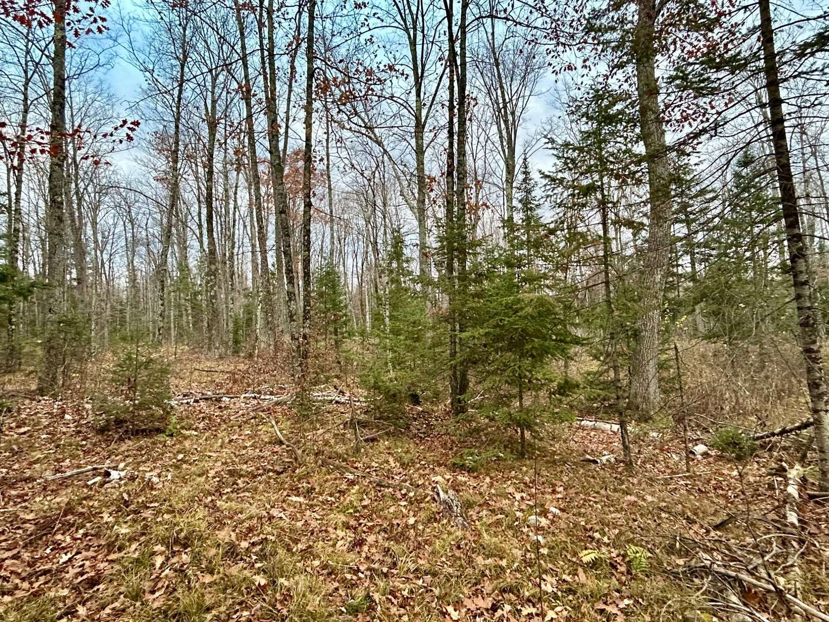 5 Acres of Land for Sale in Pelican Lake, Wisconsin