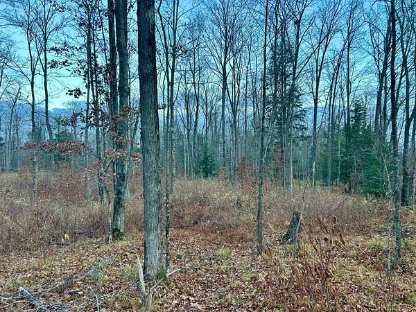 5 Acres of Land for Sale in Pelican Lake, Wisconsin