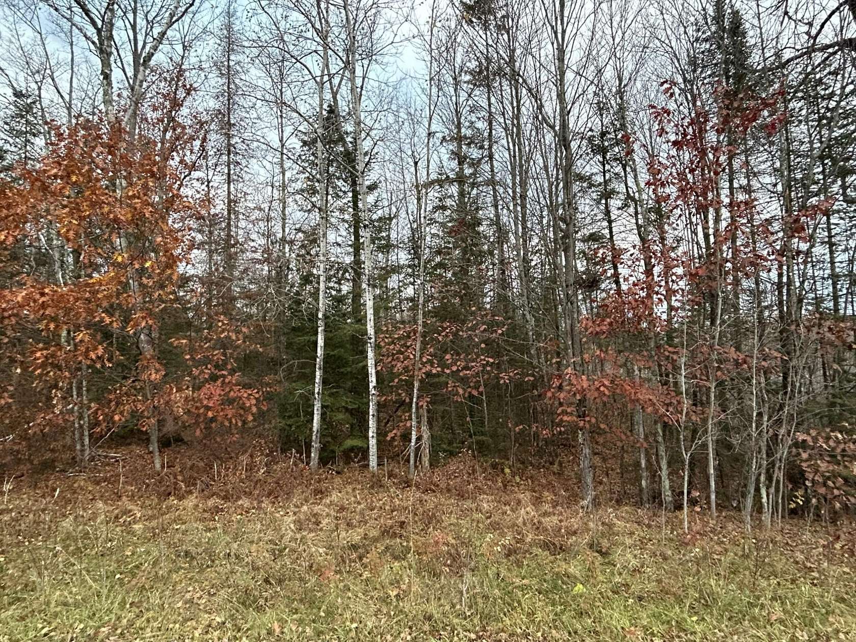 5 Acres of Land for Sale in Pelican Lake, Wisconsin