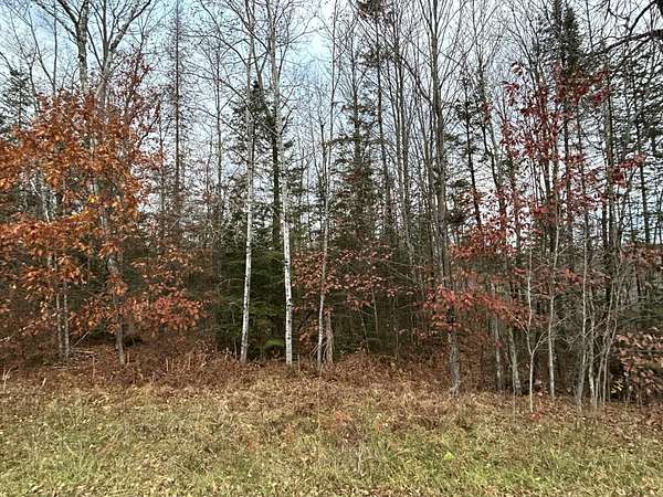 5 Acres of Land for Sale in Pelican Lake, Wisconsin