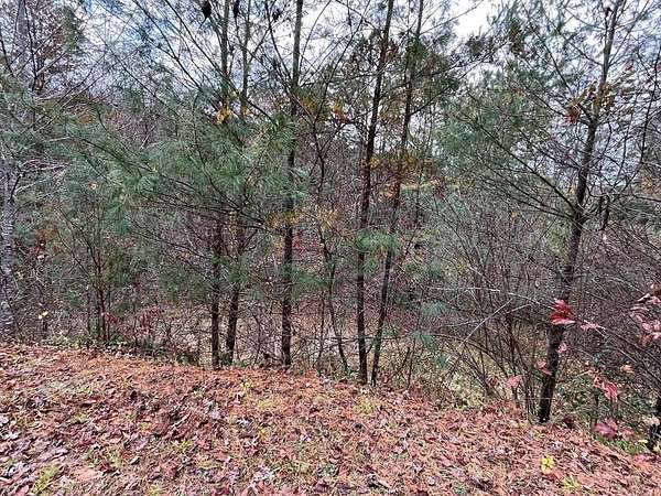 Residential Land for Sale in Murphy, North Carolina