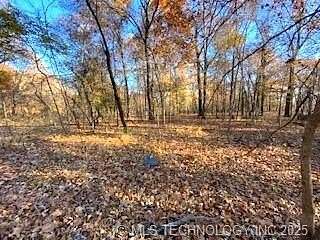 2 Acres of Residential Land for Sale in Spavinaw, Oklahoma