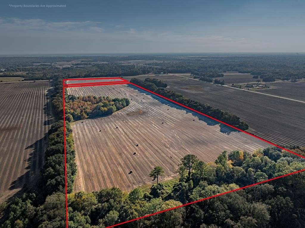 58 Acres of Land for Sale in Albany, Georgia