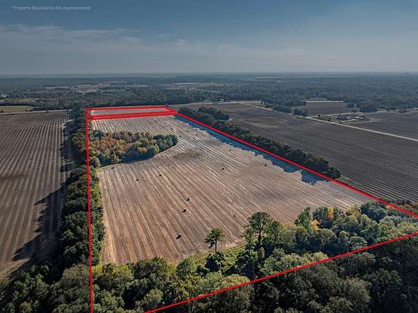 58 Acres of Land for Sale in Albany, Georgia