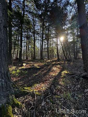 40 Acres of Recreational Land for Sale in Skanee, Michigan