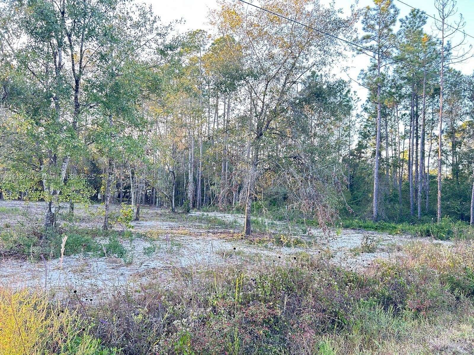 1.14 Acres of Residential Land for Sale in Hastings, Florida