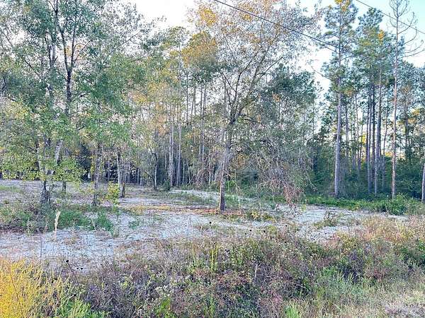 1.14 Acres of Residential Land for Sale in Hastings, Florida