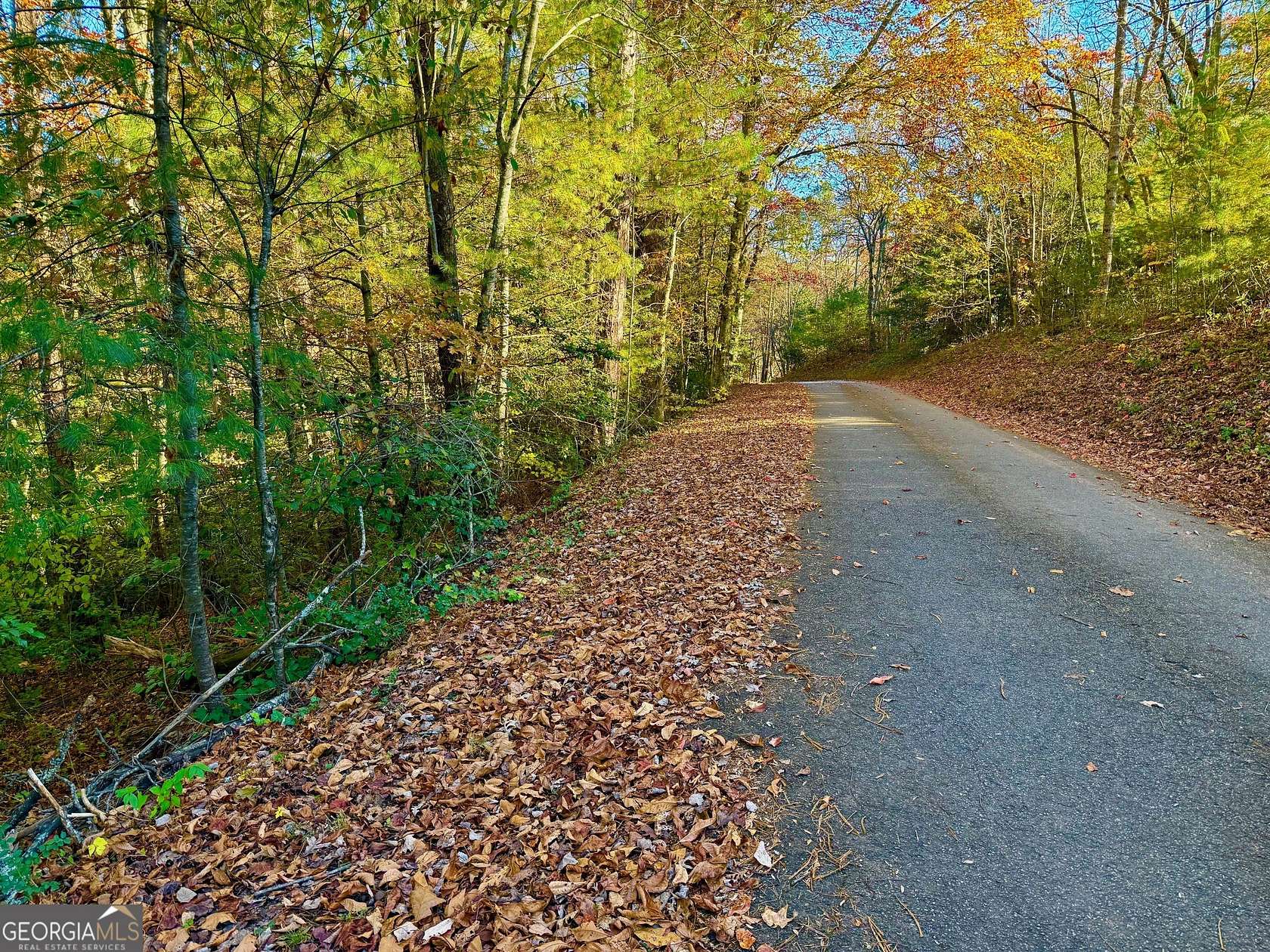 1.68 Acres of Land for Sale in Blairsville, Georgia