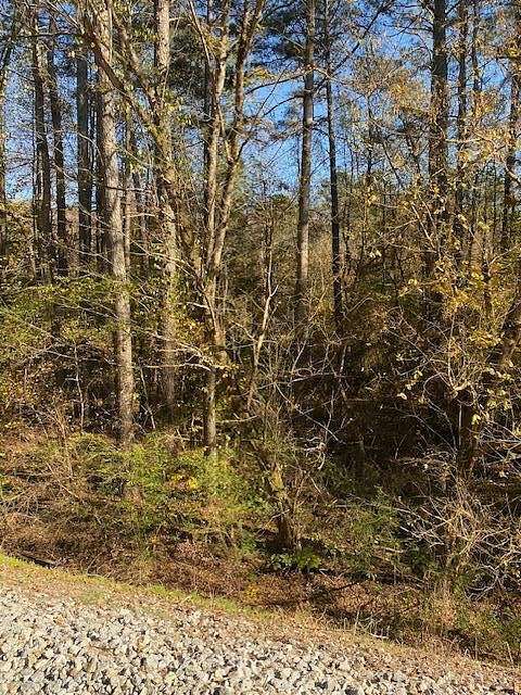 8.2 Acres of Land for Sale in Chatsworth, Georgia