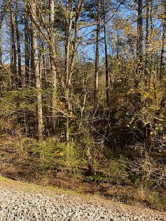 8.21 Acres of Residential Land for Sale in Crandall, Georgia