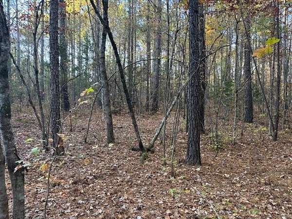 10.3 Acres of Land for Sale in Shiloh, Georgia