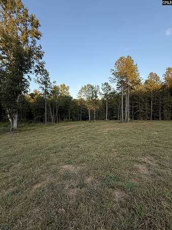 31 Acres of Recreational Land for Sale in Newberry, South Carolina