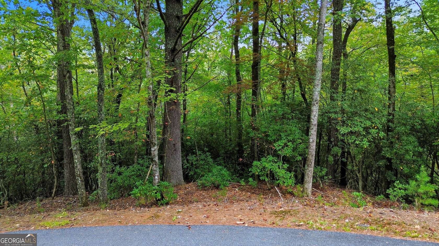 1 Acre of Land for Sale in Sautee-Nacoochee, Georgia