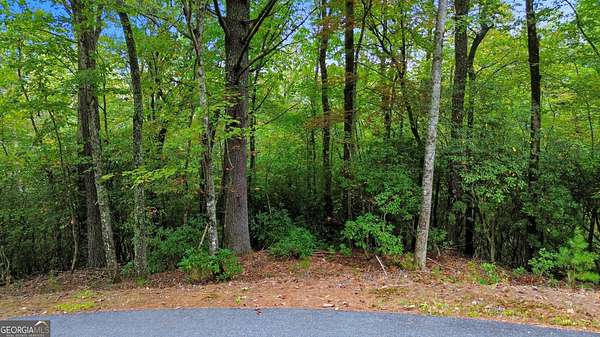 1 Acre of Land for Sale in Sautee-Nacoochee, Georgia