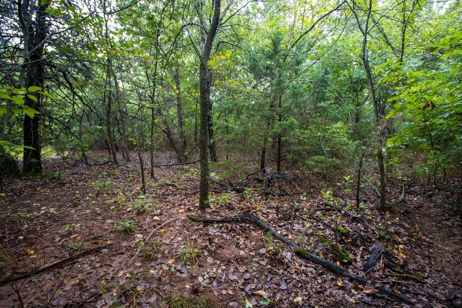 27 Acres of Recreational Land for Auction in Byars, Oklahoma
