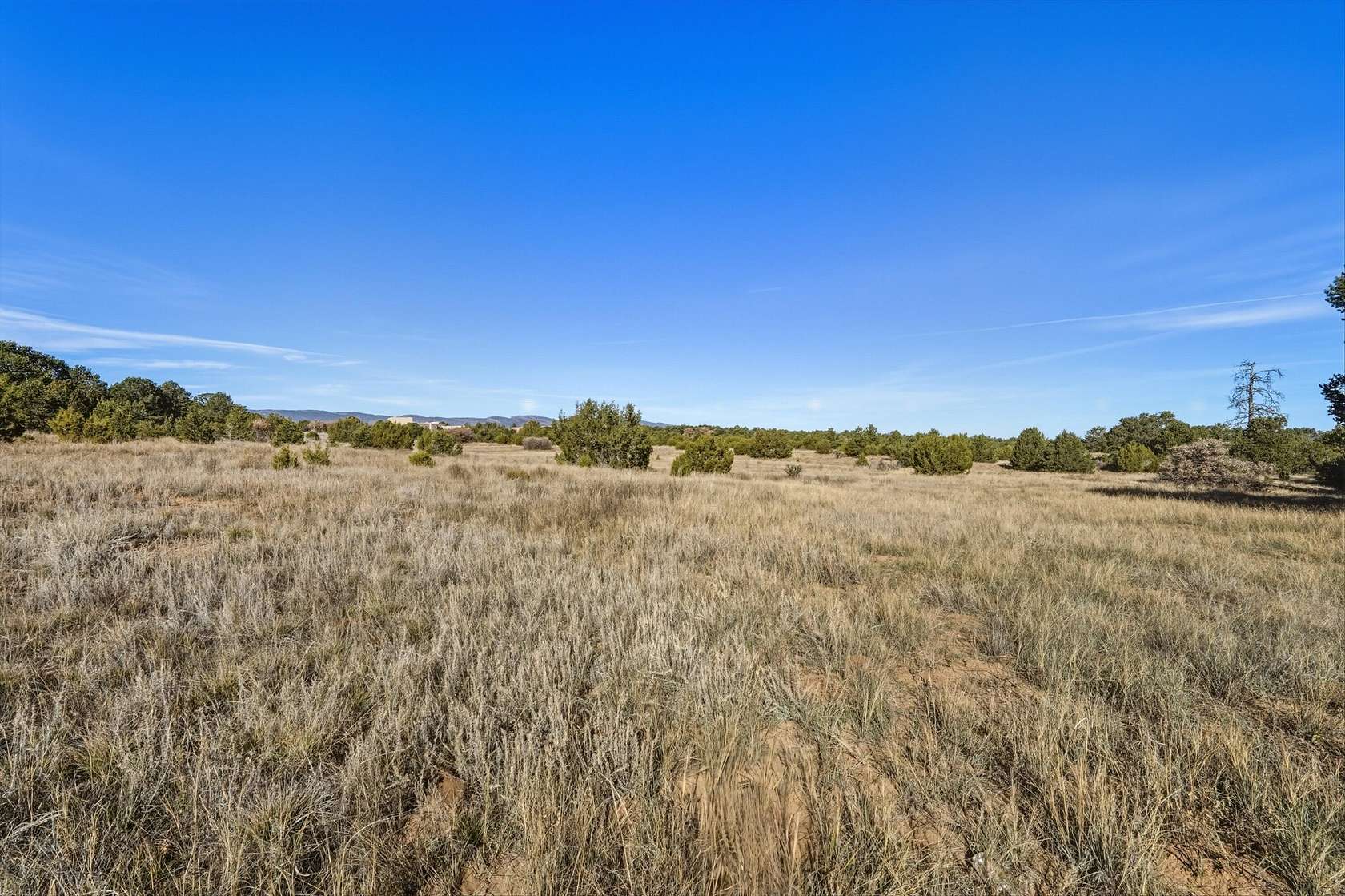 21.8 Acres of Recreational Land for Sale in Tijeras, New Mexico