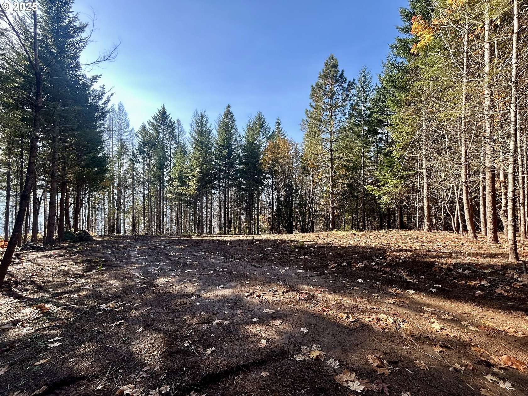 1.32 Acres of Residential Land for Sale in Underwood, Washington