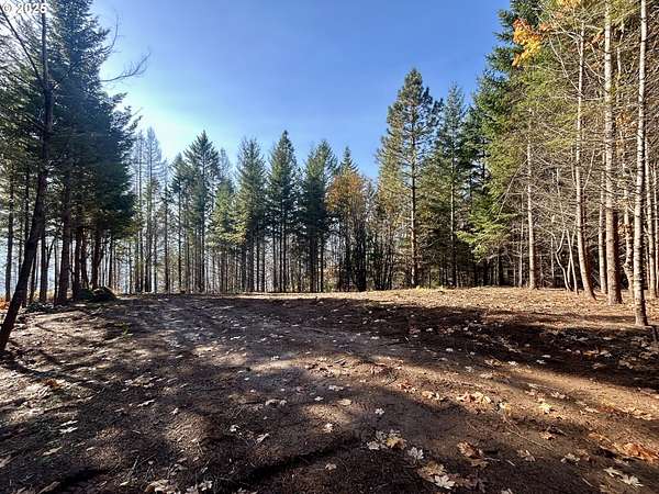1.32 Acres of Residential Land for Sale in Underwood, Washington