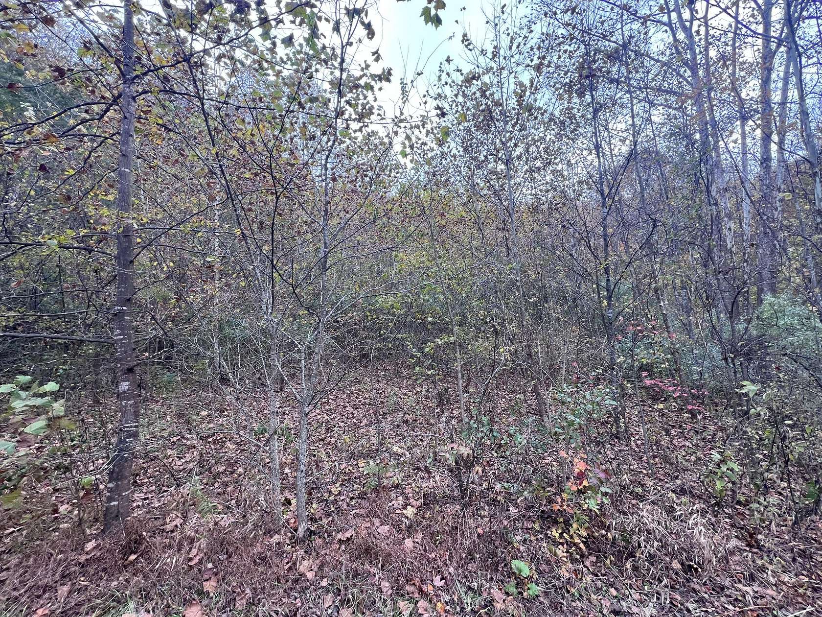 93 Acres of Recreational Land for Sale in Fleming-Neon, Kentucky