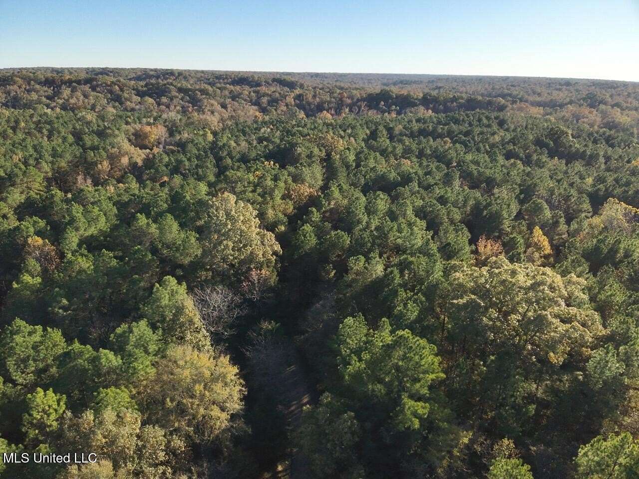 91 Acres of Land for Sale in Bentonia, Mississippi