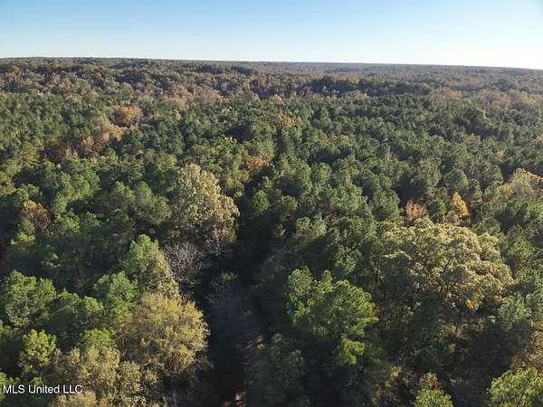 91 Acres of Land for Sale in Bentonia, Mississippi