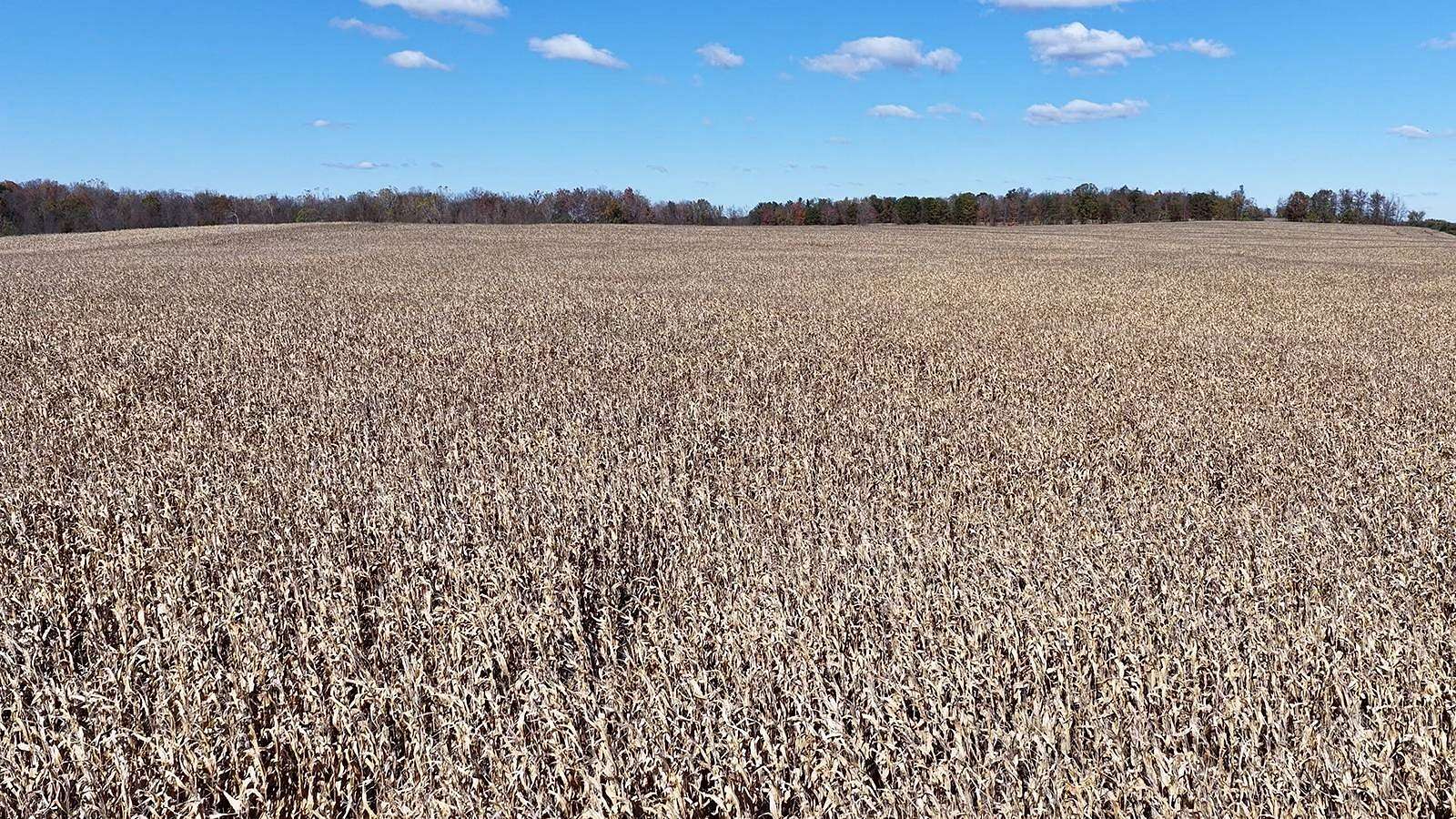 122 Acres of Land for Auction in Ransom, Michigan