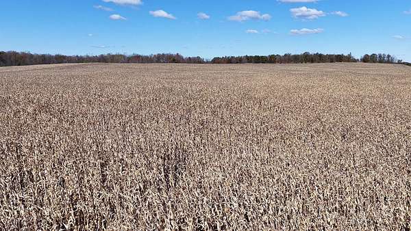 122 Acres of Land for Auction in Ransom, Michigan